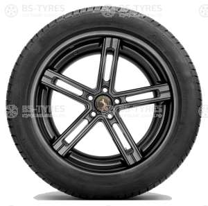 Continental ContiWinterContact TS830P 225/50 R18 99H