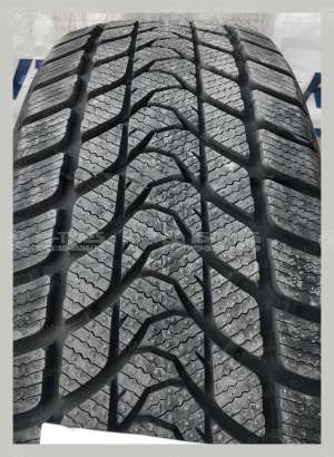 Delinte Winter WD1 225/55 R17 97T