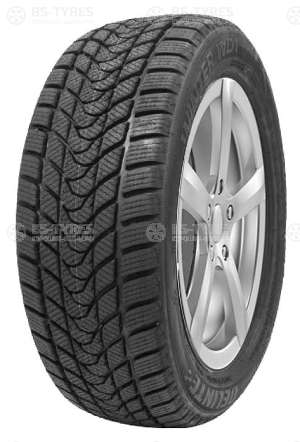 Delinte Winter WD1 225/55 R17 97T