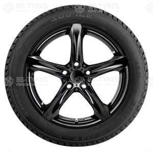 Tigar Ice 265/60 R18 114T